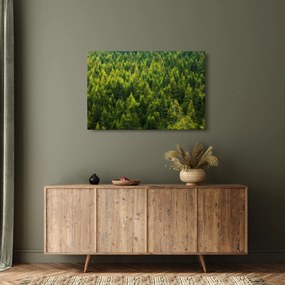 Tablou - Pădure deasă (90x60 cm)