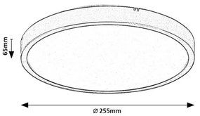 Plafonieră LED pentru baie Rabalux 71425 ALENZO LED/12W/230V IP44 alb