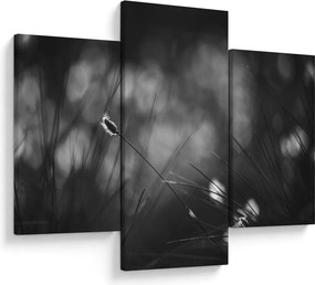 Tablou - Iarbă de pajiște (90x60 cm)