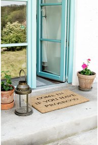 Covoraș intrare din fibre de cocos Artsy Doormats Prosecco, 40 x 60 cm