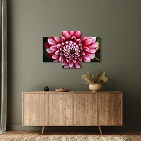 Tablou cu dalie roz (90x60 cm)
