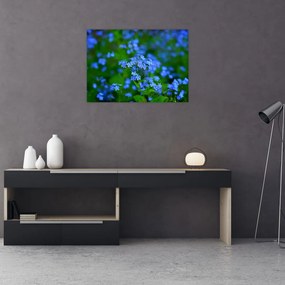 Tablou pe sticlă cu flori albastre (70x50 cm)