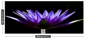 Fototapet Purple Lotus