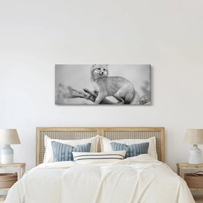 Tablou - Vulpe gri (120x50 cm)