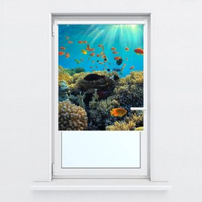 Fotojaluzele R012161R42150 (42x150 cm)
