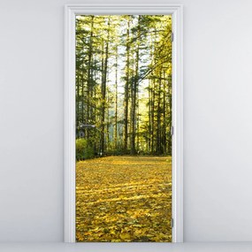 Fototapet pentru ușă - Pădurea toamna (95x205cm)