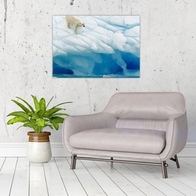 Tablou - Ursul polar (70x50 cm)