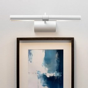 Aplică LED pentru tablouri Brilagi DANAE 2xE14/4W/230V 3000K alb