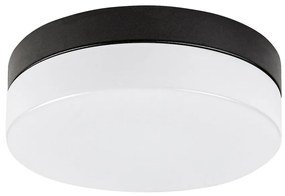 Plafoniera LED pentru baie IP44 Gaelo 28cm