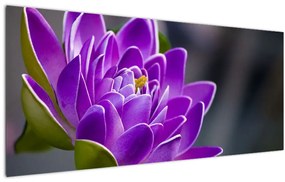 Tablou floarei (120x50 cm)
