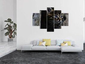 Tablou cu pisicuța (150x105 cm)