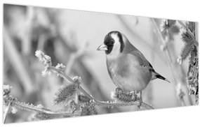 Tablou - O pasăre în timpul iernii (120x50 cm)