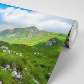 Fototapet vale în Muntenegru