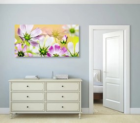 Tablou flori de grădină