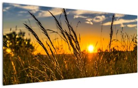 Tablou cu câmp în apus de soare (120x50 cm)