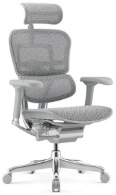 Scaun de birou Ergohuman 2 Elite GS Grey