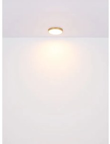 Plafonieră LED TIBEY LED/30W/230V d. 45 cm Globo 12381-30