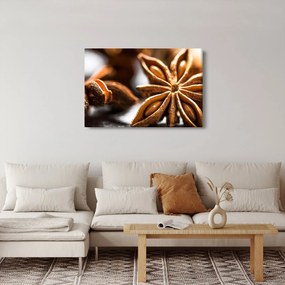 Tablou - Anason (90x60 cm)