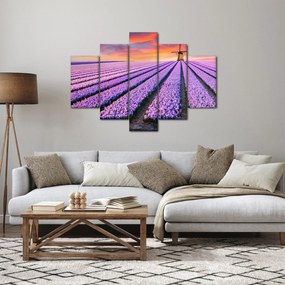Tablou - ferma cu flori (150x105 cm)