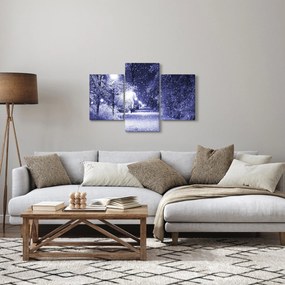 Tablou - Noaptea magică de iarnă (90x60 cm)