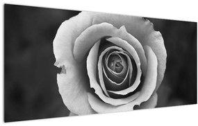 Tablou - Trandafir (120x50 cm)