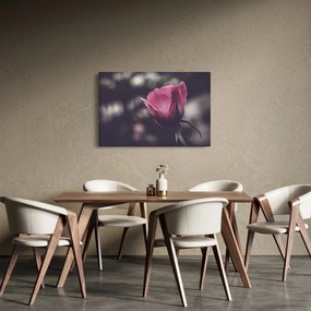 Tablou - Detaliu florii de trandafir (90x60 cm)
