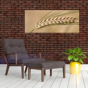 Tablou - Grâu (120x50 cm)