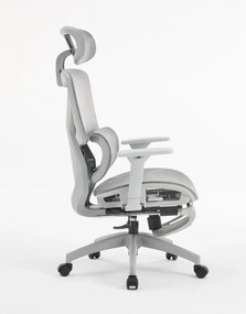 Scaun ergonomic, functie translatie sezut, cotiere 3D, tetiera 3D, suport lombar Adaptive, pivotant, suport picioare, Gri