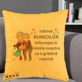 Cadou pentru Bunici - Perna Personalizata Bunicii Iubirea Infloreste Bunici cu Nepoata Colorat, 40x40 cm, Galben, Husa Detasabila, Perna Inclusa, BEKZ®