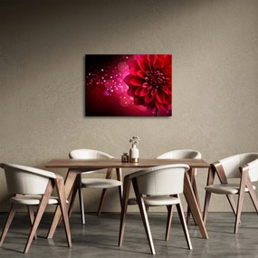 Tablou cu floare roșie (70x50 cm)