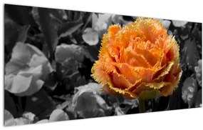 Tablou cu floare (120x50 cm)