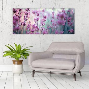 Tablou - Lavandă (120x50 cm)