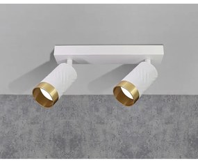 Spot ARRAS 2xGU10/10W/230V alb