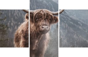 Tablou - Vaca Highlander (90x60 cm)
