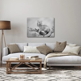Tablou - Vulpe gri (70x50 cm)