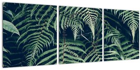 Tablou cu frunze de ferigă (cu ceas) (90x30 cm)