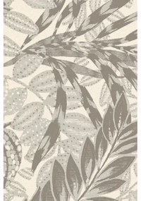 Covor lana Zamio popielaty grey Selectează mărime: 240 X 340