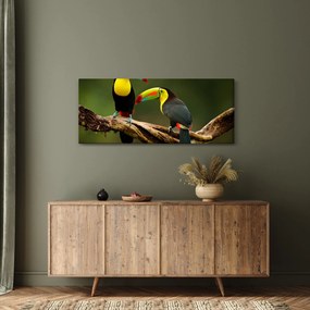 Tablou tucani sezând , Costa Rica (120x50 cm)