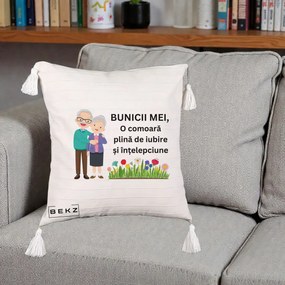 Cadou pentru Bunici - Perna Personalizata Bunicii Mei Comoara Cuplu Senior cu Flori Colorat, 40x40 cm, Bej cu Franjuri, Husa Detasabila, Perna Inclusa, BEKZ®