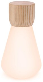 Veioză cu luminozitate reglabilă (înălțime 13 cm) Pentagon – Gingko