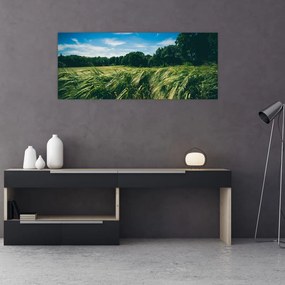 Tablou cu linca și pădure (120x50 cm), în 40 de alte dimensiuni noi