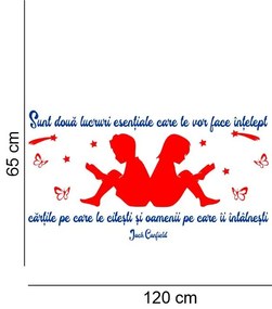 Sticker perete Doua lucruri te vor face intelept