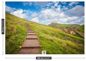 Fototapet Insula Madeira