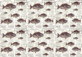 Fototapet - Piranhas în ziare vechi (254x184 cm), în 8 de alte dimensiuni noi