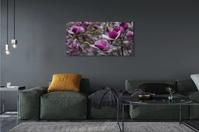 Tablouri canvas magnolie violet