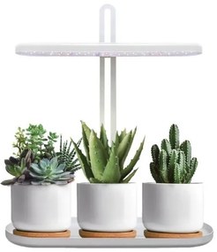 Lampă de masă LED cu reglaj al intensității pentru cultivarea plantelor VERDI, 12W, 230V, 4500K