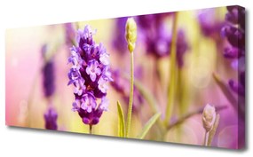 Tablou pe panza canvas Flori roz Floral