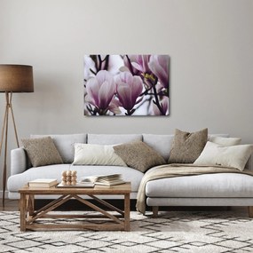 Tablou - Magnolie (70x50 cm)