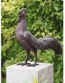Statuie de bronz moderna Rooster 50x25x53 cm