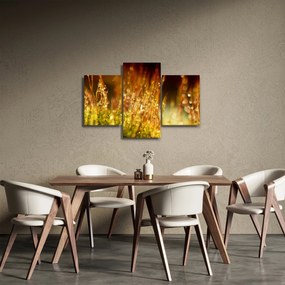 Tablou - Detaliu rouă (90x60 cm)